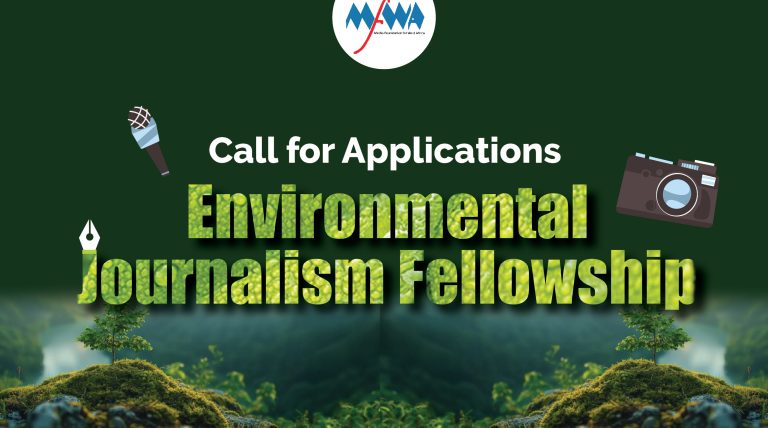 Call for Applications: Environmental Journalism Fellowship