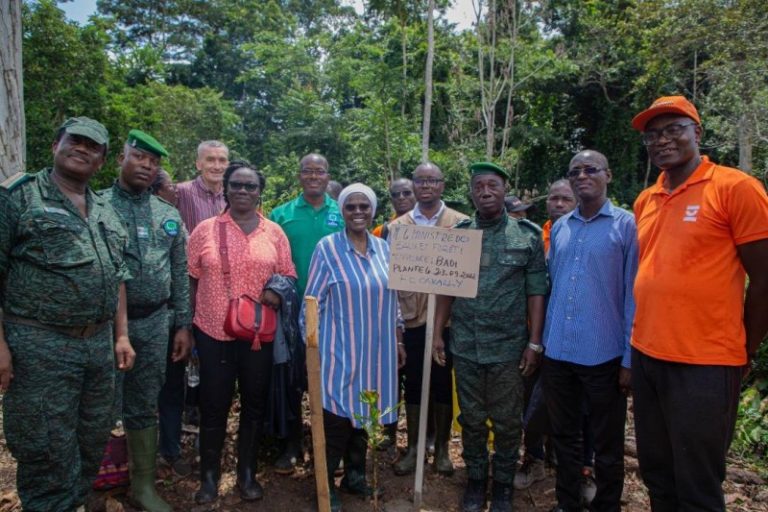 Les défis et menaces auxquels sont confrontés les défenseurs de l’environnement en Côte d’Ivoire